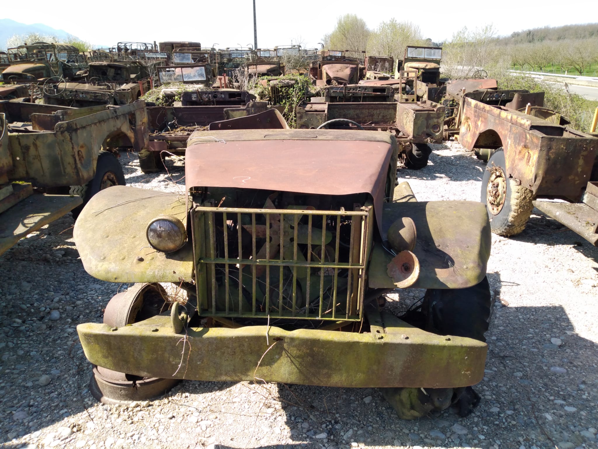 DODGE WC 51